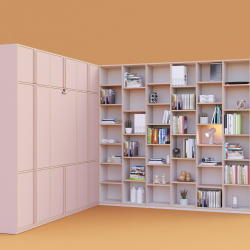 Collaboration Mafael